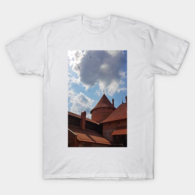 Trakai Castle 1 T-Shirt by nastiaart